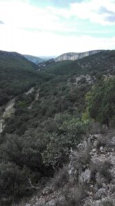 vue sur les gorges de l'ardèche
