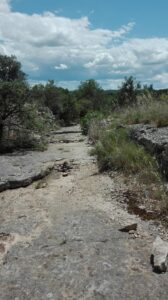 berrias