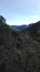 Sentier vers la thiourre