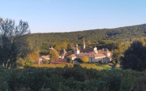 chartreuse
