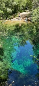 Rando du 26 Mai 2022 à Font vive, résurgence de Grospierres